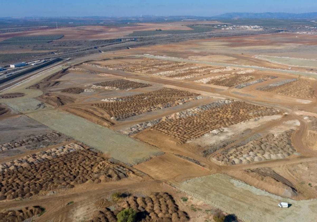 Land where the new logistics hub in Antequera is planned to house new business and industrial parks.