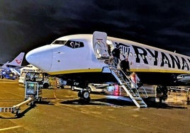 File image of a Ryanair aircraft.