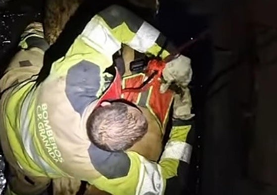 Rescue of the dog that fell into a well in the Barranco de Ítrabo.