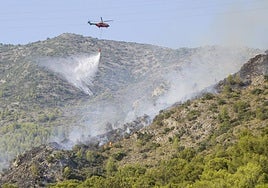 Marbella man suspected of starting two fires in Malaga's Sierra de las Nieves is arrested