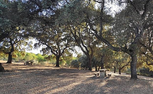 Dehesa del Mercadillo in Ronda.