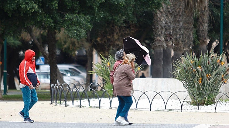 Malaga registers second highest minimum January temperature on record