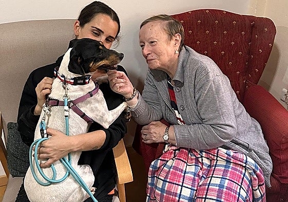 One of the centre's residents strokes a dog in the arms of a volunteer.
