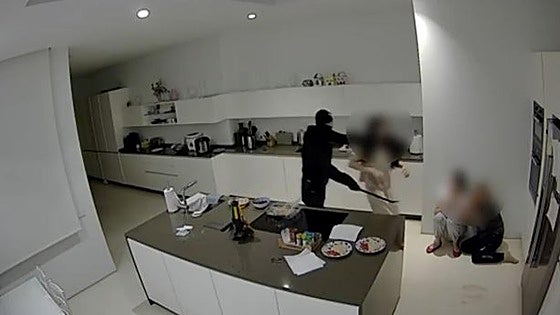 Taken down: a 'mini-army' of thieves who raided luxury Costa de Sol villas with extreme violence