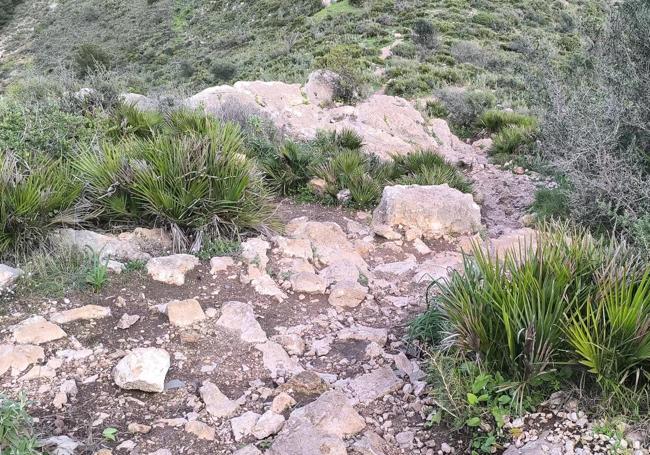 The fan palm is one of the most abundant botanical species along this route.