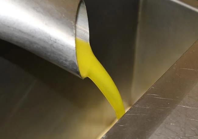 A splash of extra virgin olive oil of the Hojiblanca variety.