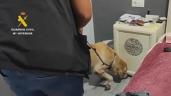Watch as violent gang is smashed and police arrest 28 for drug dealing on eastern Costa del Sol