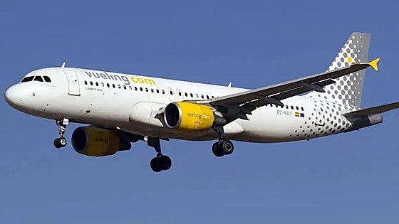 Vueling will fly 15 routes to and from Malaga Airport this summer
