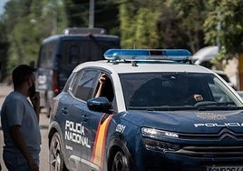 Major blow to Russian mafia in Spain as police carry out raids in three Costa del Sol resorts and one inland Malaga town