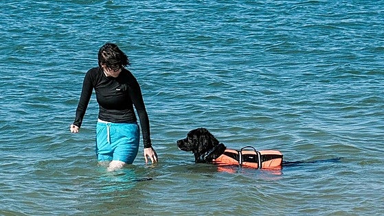Mojácar to open the fourth dog-friendly beach in Almeria in 2025
