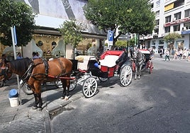 Horse-drawn carriages will disappear from Marbella within 20 years.