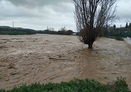 Flooding of the river Turón in Ardales.