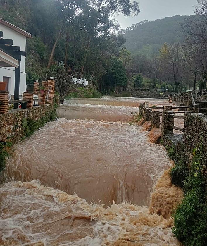 Imagen secundaria 2 - Ronda, El Burgo and Igualeja.