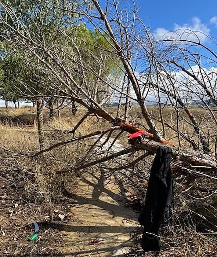 Imagen secundaria 2 - Volunteers in Ronda band together to help restore neglected park back to its prime