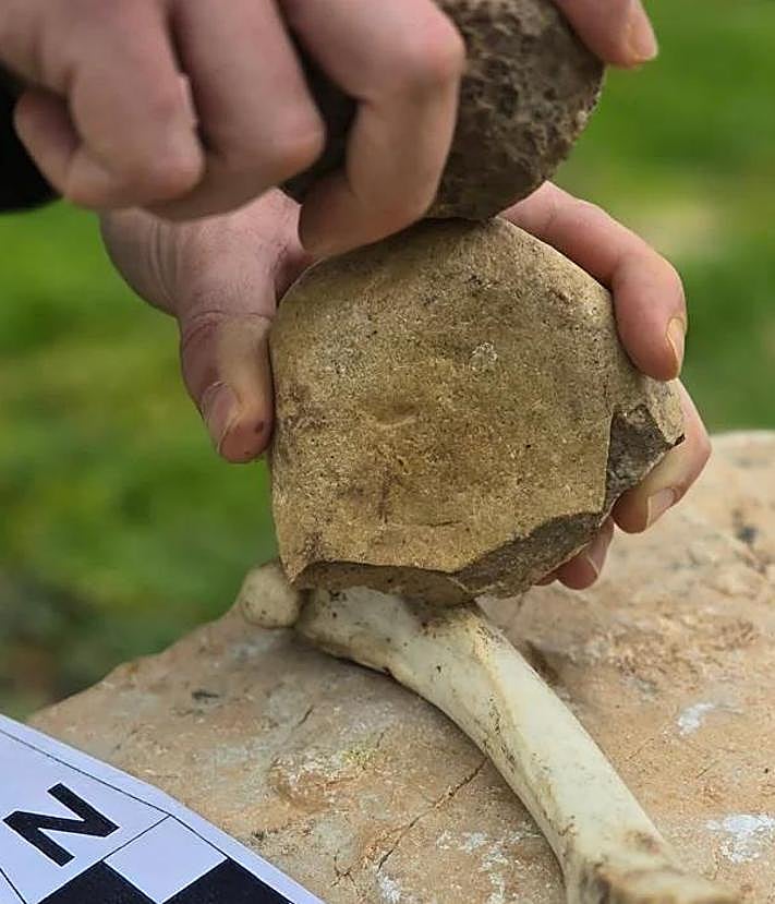 Imagen secundaria 2 - Some of the tools carved during the experiment.