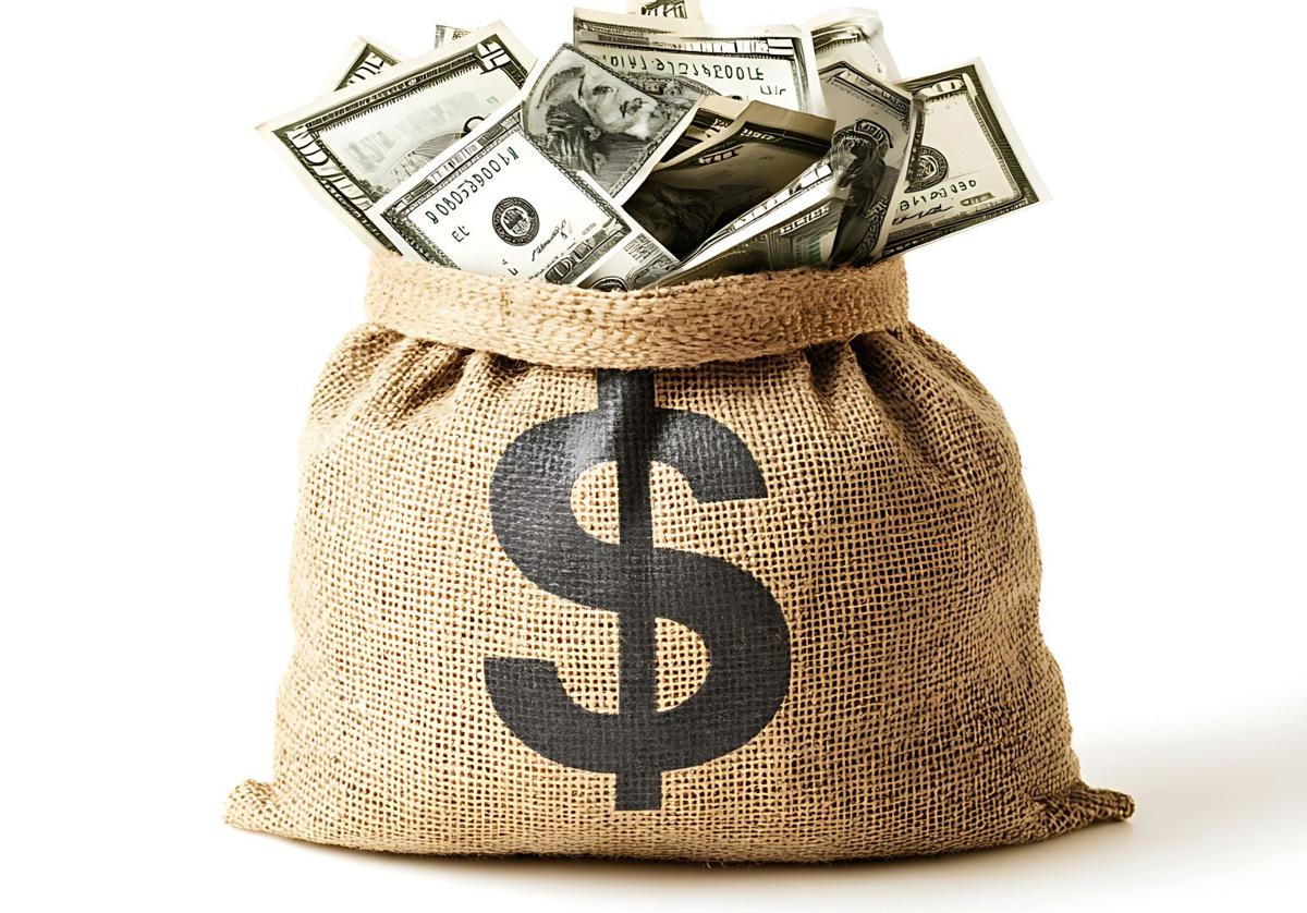 Brics, an open door to replace the US dollar or bricked up?