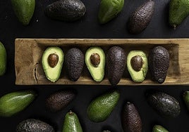 Malaga chefs share their favourite avocado recipes for the Axarquía's 'green gold'