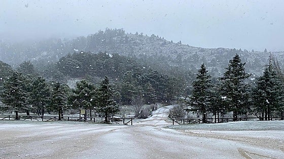Snow falls again in Malaga's Sierra de las Nieves national park, in pictures
