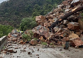 The current state of the road connecting Ronda with San Pedro Alcántara.