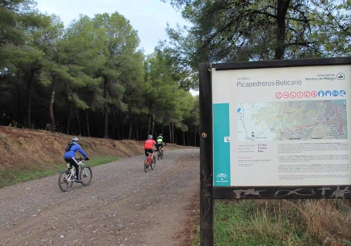 What not to miss in the Montes de Málaga natural park