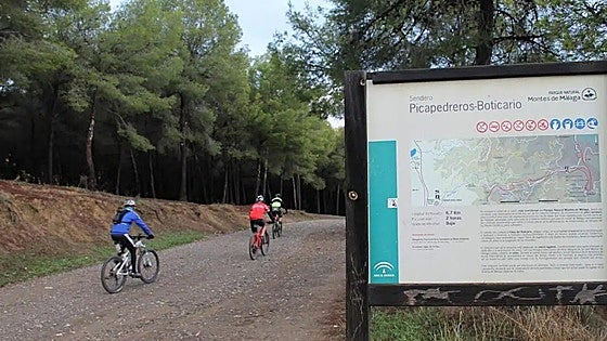 What not to miss in the Montes de Málaga natural park