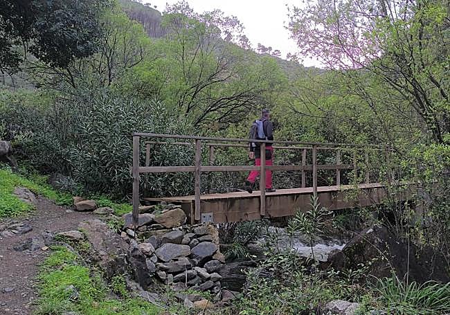 In the first stretch there are two wooden bridges to be crossed.