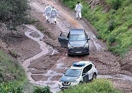 Three suspects sent to prison in connection with the death of Paco in Almogía, Malaga