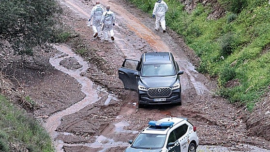 Three suspects sent to prison in connection with the death of Paco in Almogía, Malaga