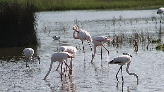 A tour of lakes, springs and waterfalls in Malaga province