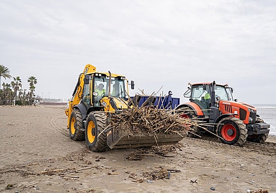Estepona removes nearly 12,000 cubic metres of debris from its beaches following recent storms
