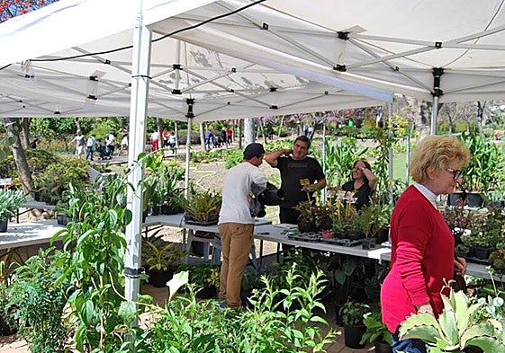 A previous plant show in Benalmádena.