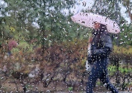 Aemet activates a new yellow warning for heavy rain in Malaga for Tuesday