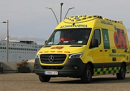 Woman injured in Mijas after camping gas cylinder explodes in car