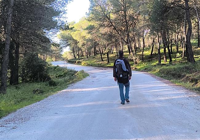 The first part of the trail runs along a wide lane.