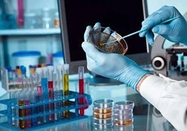 A researcher at work in a laboratory.