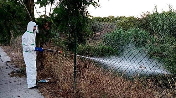 West Nile Virus: these are the municipalities in Malaga province that are deemed at high risk
