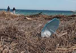 Reeds accumulated on Guadalmar beach, Malaga, after storms.