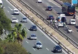 Image from DGT cameras