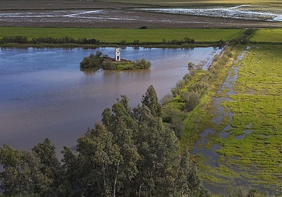 Doñana's marshland, now flooded once more following the recent rains.