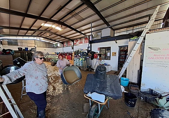 Guadalhorce valley dog shelter in urgent need of new premises after latest flooding disaster