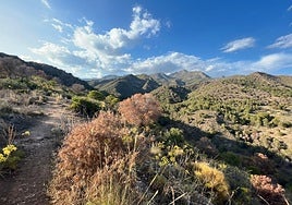 The Sierra Almijara mountains in Nerja where the two hikers got lost.