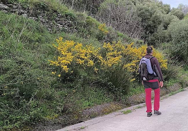 Camino de la Dehesa.