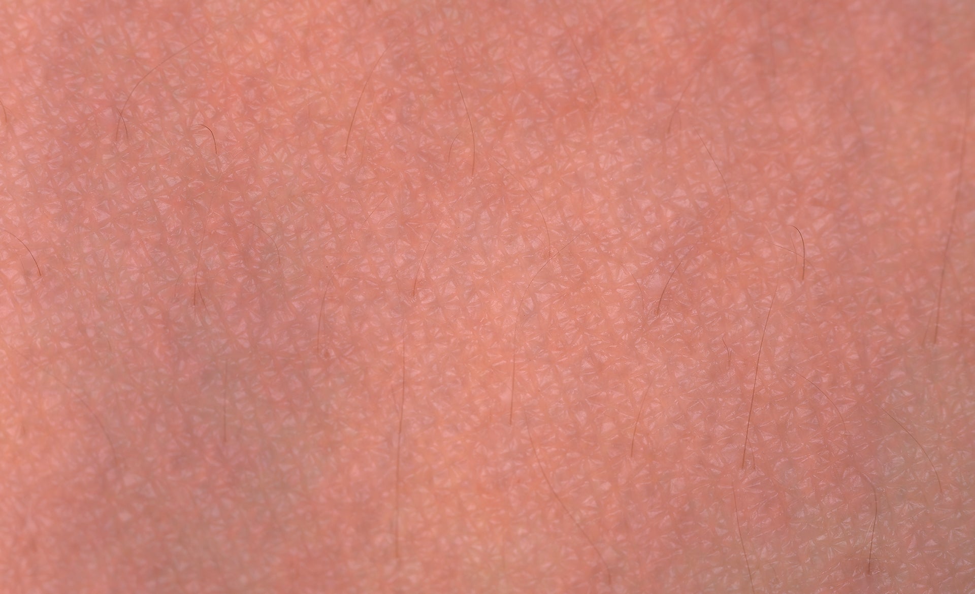 Scroll Story imagen 2