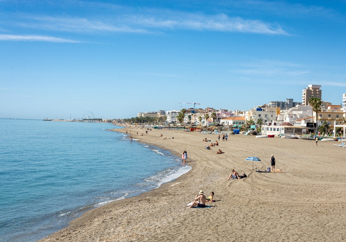 Torremolinos removes 120 tonnes of reeds from its beaches in time for Easter