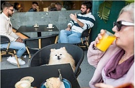 Foodie guide in Spain adds pet-friendly spots to its listings: these are the 37 locations in Andalucía