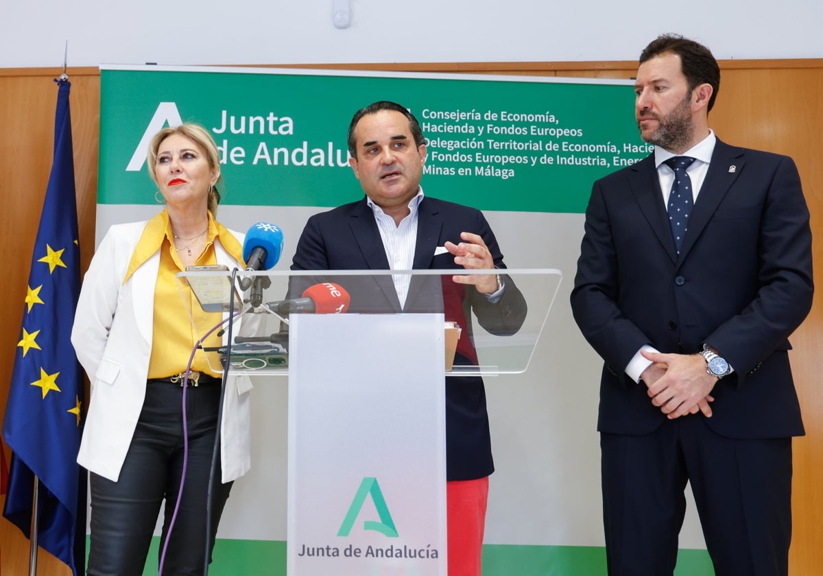 When will the two major Chinese manufacturing plants in the north of Malaga province be operational?