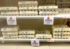 The posters of the animal welfare observatory in a supermarket.