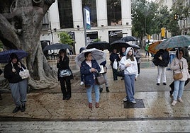 Umbrellas in the Alameda Principal in Malaga.