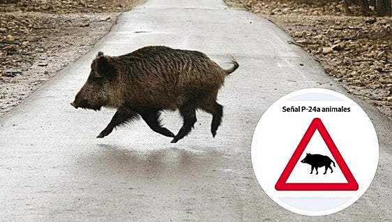 The new warning sign that could be coming to a road near you soon