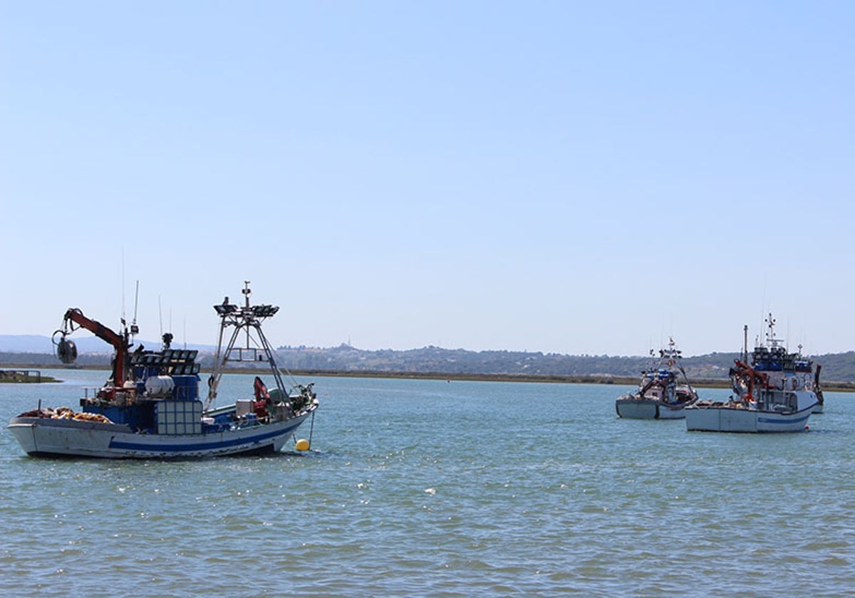 Andalucía offers 6.4-million-euro compensation to fishing industry for stoppages